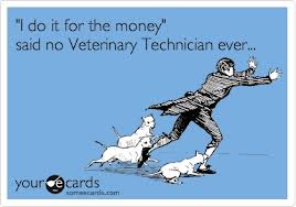 vettech2