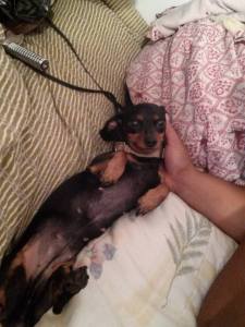 10561734_10154759456815722_5862070575132476844_n