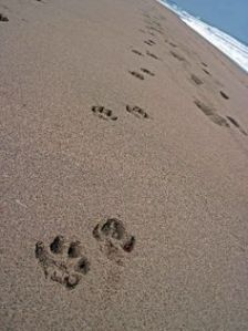 53415a3bbd354cfafefc8430b17d8d73